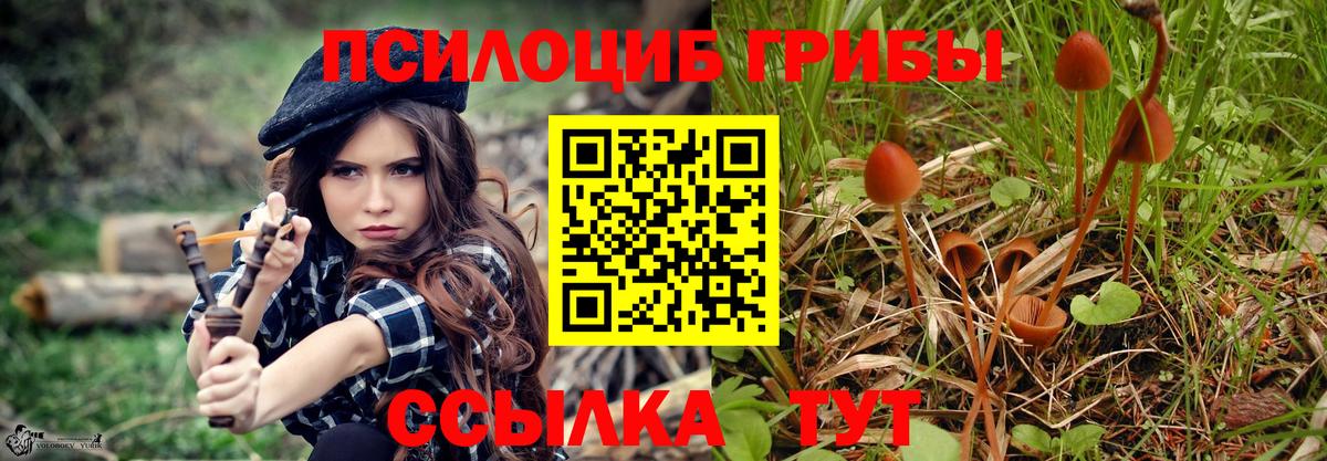 Псилоцибиновые грибы GOLDEN TEACHER  Вход с VPN  Карпинск 