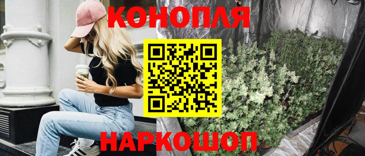 Бошки Шишки THC 21% Карпинск